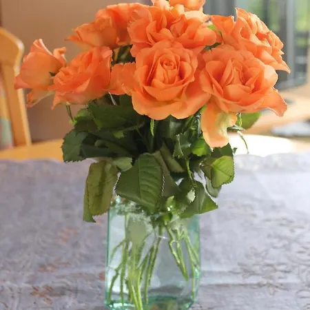 Haus Seerobbe-obergeschosswohnung