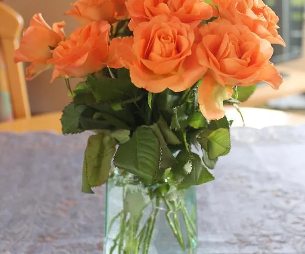 Haus Seerobbe-obergeschosswohnung